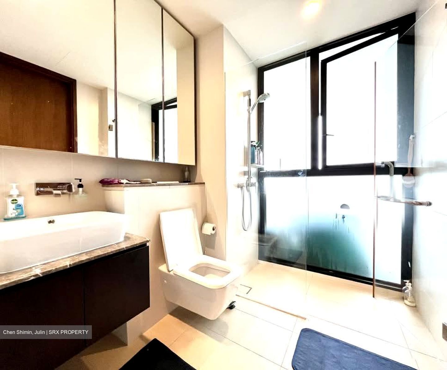 Spottiswoode Residences (D2), Condominium #627450231